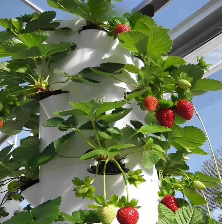 도시 농업용 모듈식 수경 재배 벽면 항공우주 시스템,  - Urban Farming Urban Gardening 리뷰 및 가격