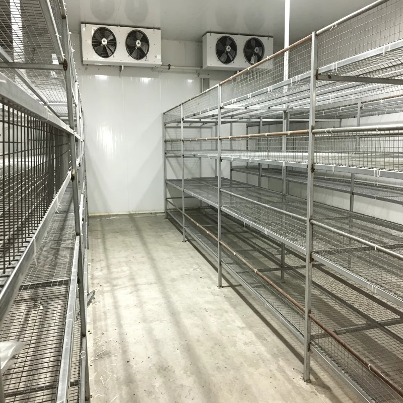 실내 농업 도시 농업용 자동 관개 시스템을 갖춘 수경  - Urban Farming Indoor 리뷰 및 가격
