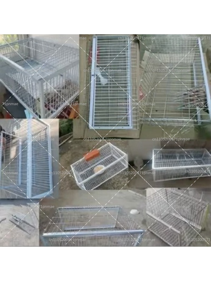 전문 다기능 조류 비둘기 포획 케이지 (정원, 농장,  - Urban Farming Urban Gardening 리뷰 및 가격